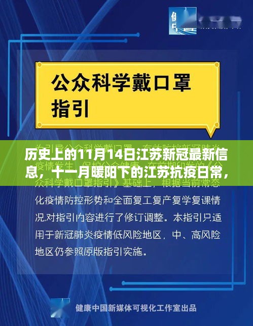 江苏抗疫故事，十一月暖阳下的日常与温馨历史回顾（最新信息更新）