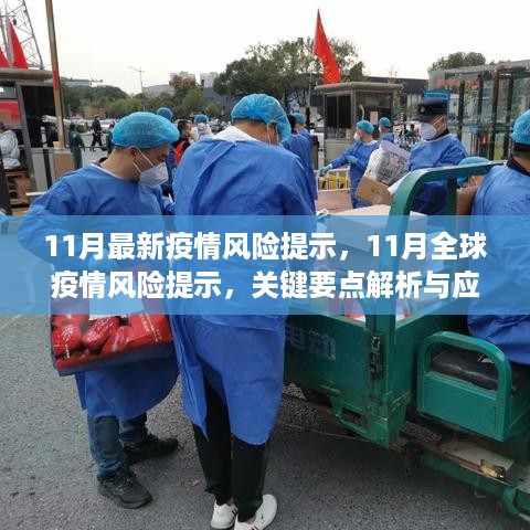 11月全球疫情风险提示解析及应对策略关键要点