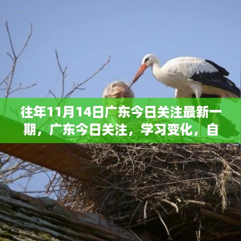 广东今日关注，学习变化，自信成就梦想——展翅翱翔知识天空的新篇章