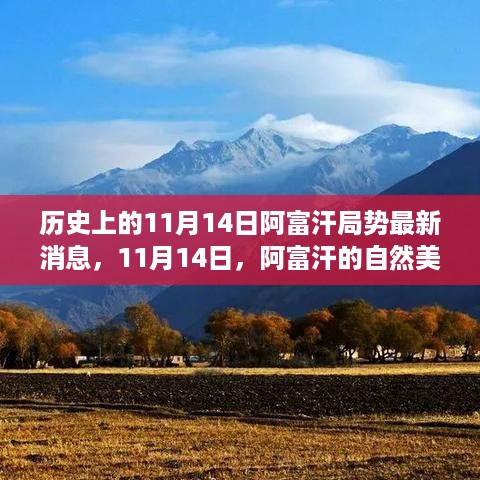 阿富汗局势最新动态，历史性的11月14日与心灵之旅的自然美景呼唤