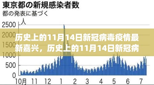 历史上的11月14日新冠病毒疫情下的嘉兴深度探讨与多方观点分析