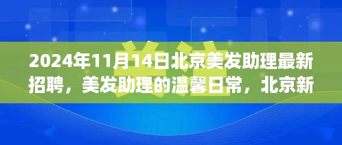 北京美发助理招聘新篇章，日常温馨与未来展望，美发新星等你来加入！