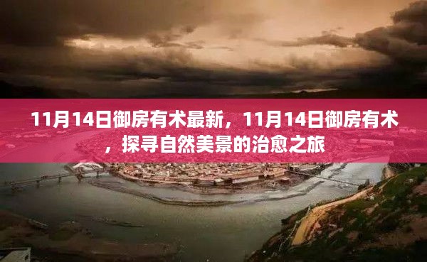 探寻自然美景的治愈之旅，御房有术最新报道（11月14日）