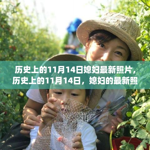 揭秘历史媳妇背后的故事，11月14日最新照片揭晓