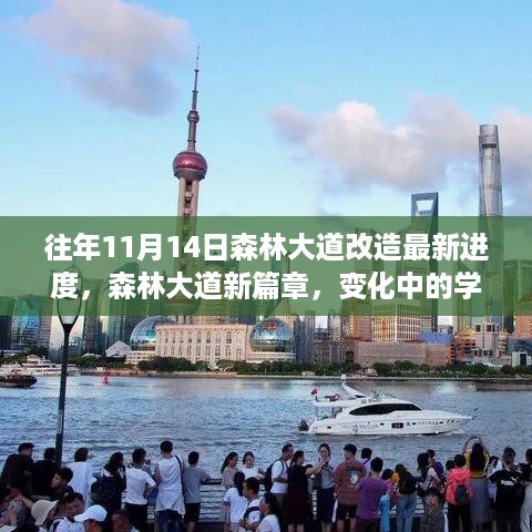 森林大道改造最新进度，学习之路的新篇章与自信成就之源