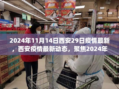 聚焦西安疫情最新动态，2024年11月14日第29日进展报告