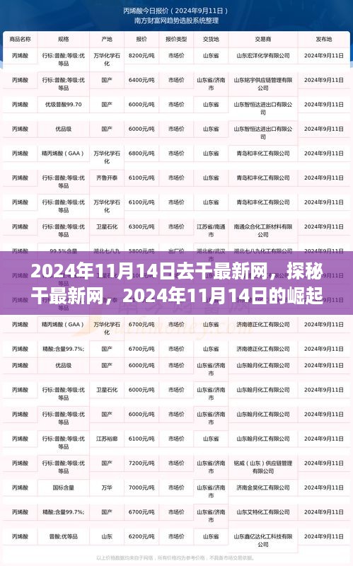 探秘干最新网，2024年11月14日的崛起与影响力