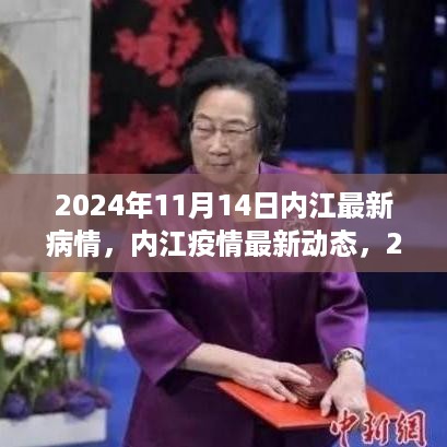 2024年11月14日内江疫情深度观察，最新动态与情况分析