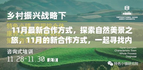 11月新合作方式，自然美景之旅，探寻内心的宁静与平和