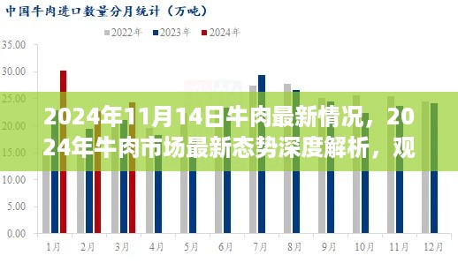 2024年牛肉市场最新动态解析，深度洞察市场态势与趋势前瞻