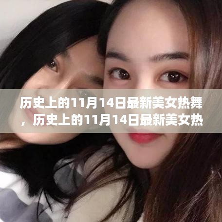 历史上的11月14日美女热舞盛典，全面测评与深度解析