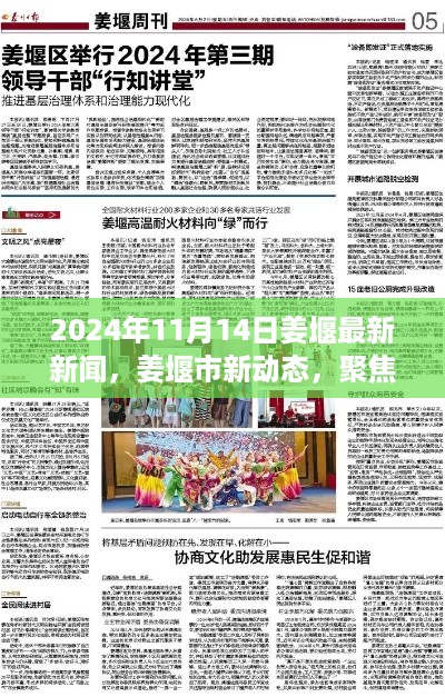 姜堰市最新动态，深度解析2024年11月14日新闻事件