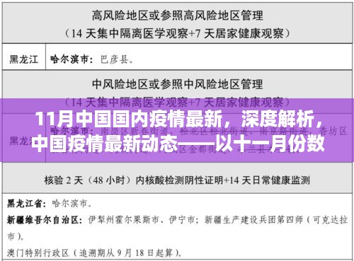 11月中国疫情最新动态深度解析，以数据观察疫情发展