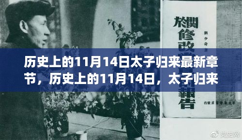 历史上的11月14日，太子归来与智能产品体验之旅的震撼瞬间