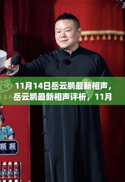 岳云鹏最新相声多维解读，11月14日演出评析与亮点分享