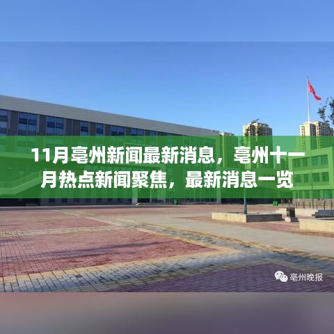 亳州11月新闻热点聚焦，最新消息一览