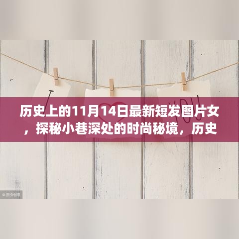 历史上的11月14日女性最新短发时尚，探秘专属发廊的时尚秘境