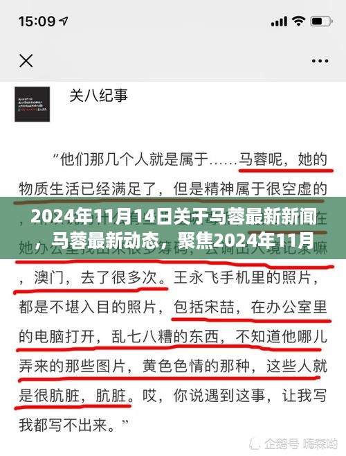 马蓉最新动态与新闻热点深度解析，2024年11月14日聚焦