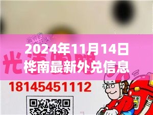 桦南最新外兑信息获取全攻略，初学者与进阶用户适用的指南（2024年11月14日）