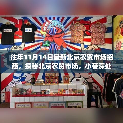 探秘北京农贸市场，特色小店招商新篇章（11月14日招商信息）