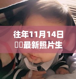 历年11月14日咘咘成长瞬间，最新照片展现生无可恋瞬间