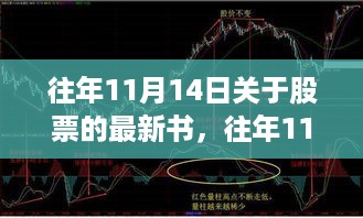 往年11月14日股票新书全解析，特性、体验、竞品对比与用户洞察