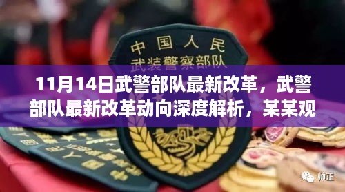 武警部队最新改革动向深度解析，11月14日改革概览与某某观点探析