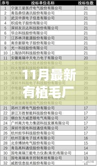 最新植毛厂招聘信息全解析，招聘、产品特性、使用体验、竞品对比及目标用户深度探讨