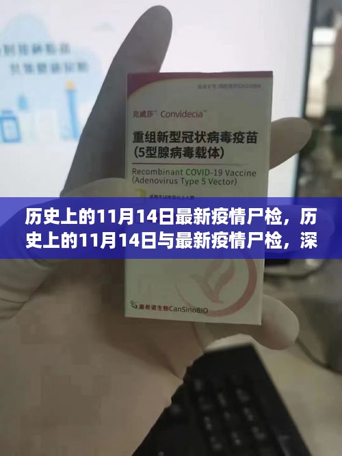 历史上的11月14日疫情尸检深度探究与观点阐述，疫情背景下的历史与现状观察