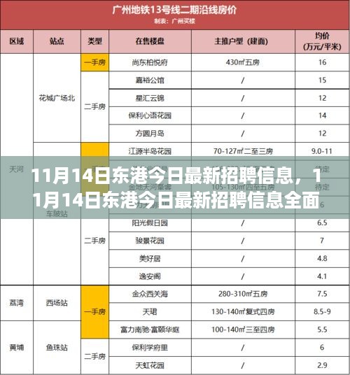 11月14日东港最新招聘信息全面评测与介绍