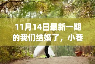 11月14日特辑，小巷深处的秘密花园，我们结婚了小店中的浪漫故事