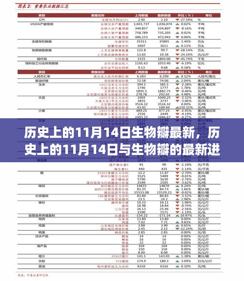 历史上的11月14日，生物瓣的最新进展与观点阐述