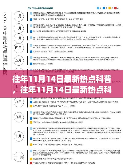 往年11月14日热点科普详解，产品特性、体验、竞争分析与目标用户群体全面解读