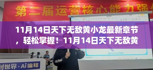 11月14日天下无敌黄小龙最新章节阅读攻略，轻松掌握最新动态！