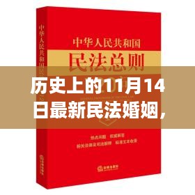 历史上的11月14日，民法婚姻条例的演变与影响揭秘