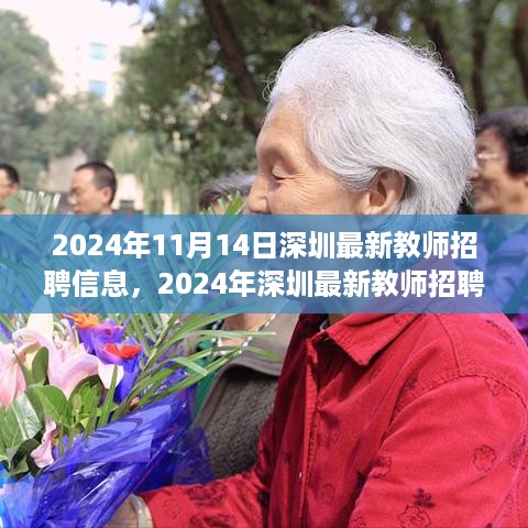 2024年深圳最新教师招聘信息汇总及应聘步骤详解