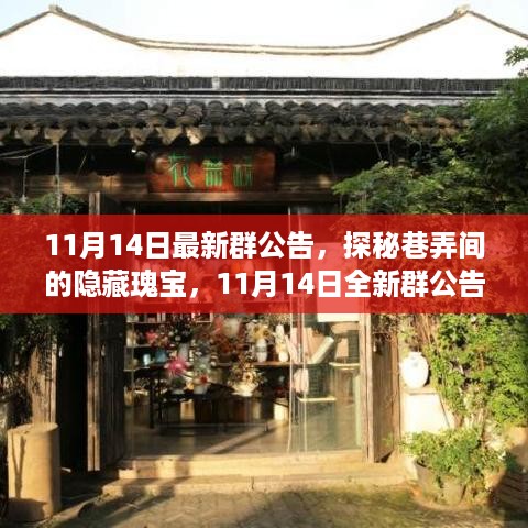 探秘巷弄间的隐藏瑰宝，11月14日群公告带你领略特色小店独特魅力