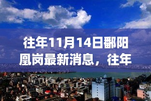 往年11月14日鄱阳凰岗，地域变迁与发展动态聚焦