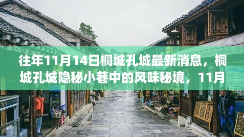 桐城孔城隐秘小巷探秘之旅，风味秘境最新消息揭秘（11月14日）