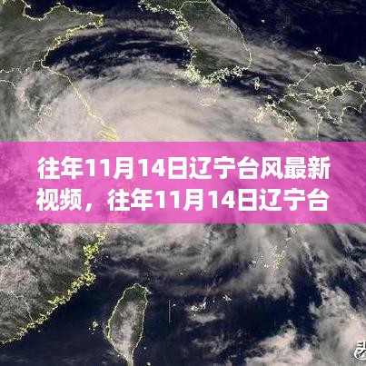 往年11月14日辽宁台风实录，视频评测、特性体验、竞品对比与用户群体洞察