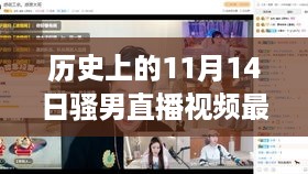 历史上的11月14日，骚男直播的成长与启示，自信与成就感的展现