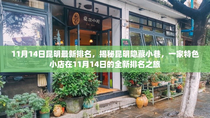 昆明隐藏小巷特色小店揭秘，最新排名之旅（11月14日）