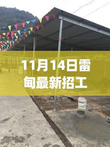 聚焦雷甸地区最新招工动态，深度解读三大要点（XXXX年11月14日）