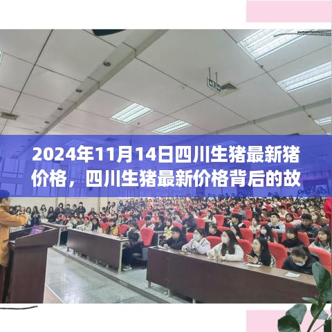 四川生猪最新价格背后的故事，学习变化，成就自信与梦想（2024年11月14日）