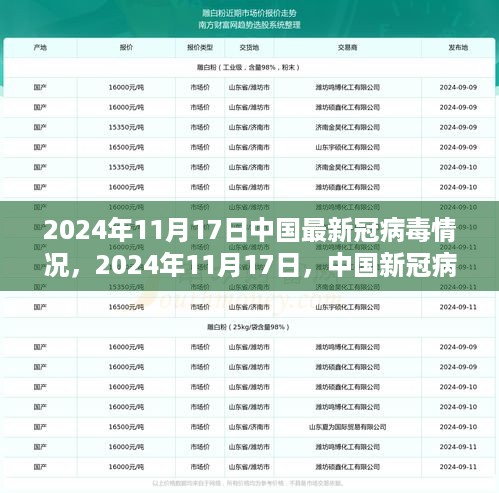 中国新冠病毒防控新篇章，自信与成就之光的展现，2024年11月17日最新报告