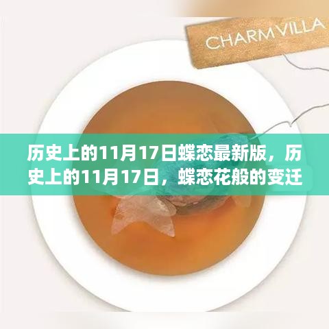 历史上的11月17日蝶恋最新版，历史上的11月17日，蝶恋花般的变迁与发展