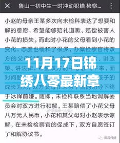 11月17日锦绣八零最新章节获取与阅读指南