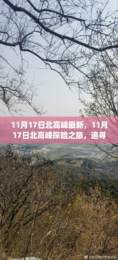 11月17日北高峰探险之旅，追寻自然美景，探寻内心宁静与平和的旅程