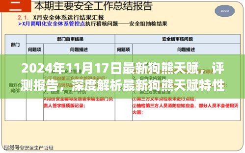 深度解析，最新狗熊天赋特性与体验评测报告（2024年11月版）