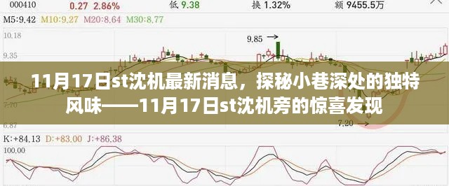 探秘小巷深处的独特风味，揭秘11月17日st沈机旁惊喜发现